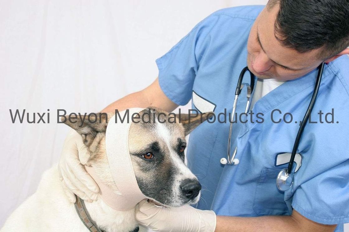 Cohesive Strapping Tape Non Woven Cohesive Bandage Vet Wrap Sports Ankle